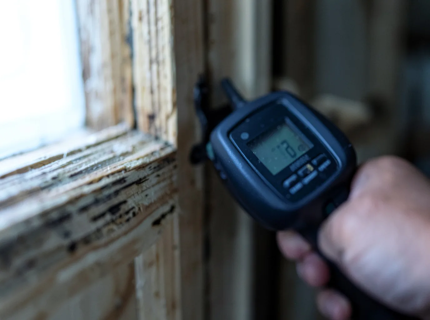 Moisture Inspection And Documentation in Margate City, NJ